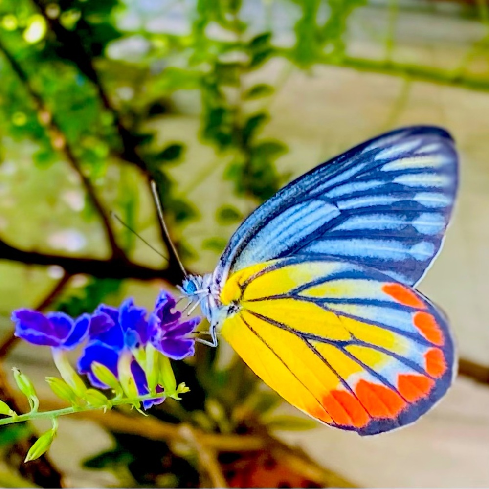 Meet your Posher, Nap